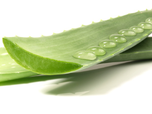 Aloe Vera Honig Massage